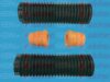 AUTOFREN SEINSA D5003 Dust Cover Kit, shock absorber